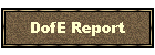 DofE Report